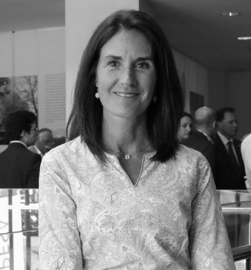 Pediatra de AP. Centro de Salud Parque-Somio. Gijón. Coordinadora del grupo de trabajo de vacunas y enfermedades infecciosas de AP de la SEPEAP.